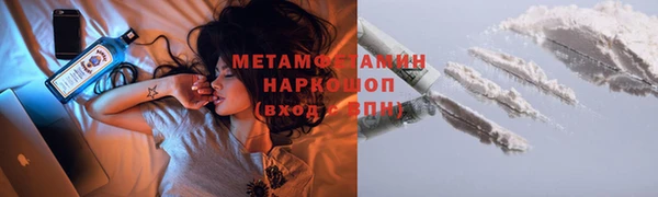 шишки Горно-Алтайск